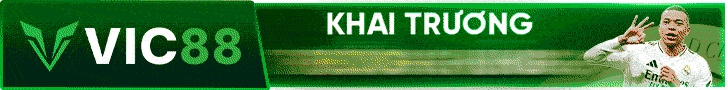 top banner