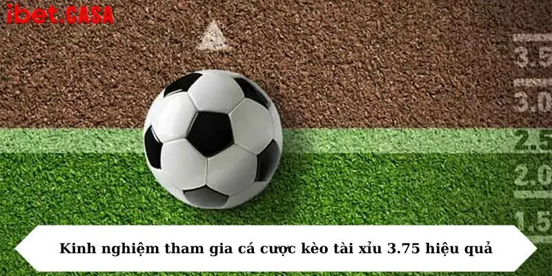 Kinh nghiệm tham gia cá cược kèo tài xỉu 3.75 hiệu quả